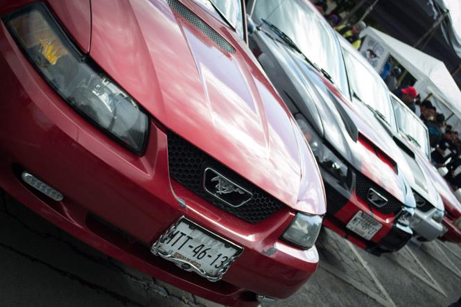 Mustang_Fest_3.jpg
