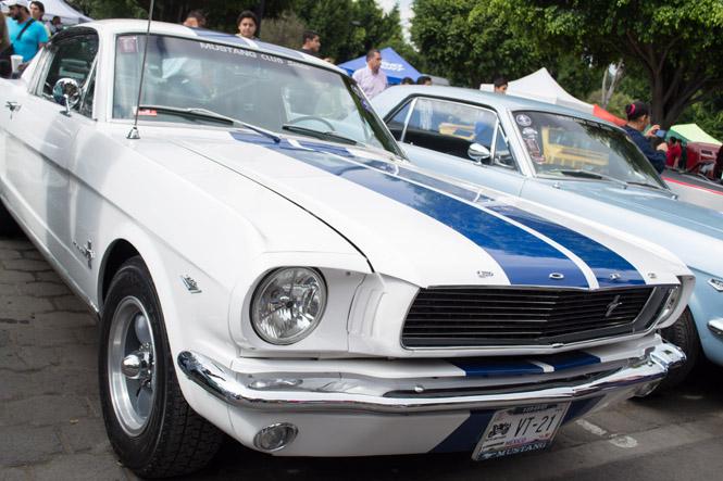 Mustang_Fest_5.jpg