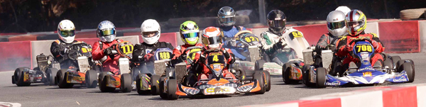 2 ROTAX NORESTE jpg.jpg