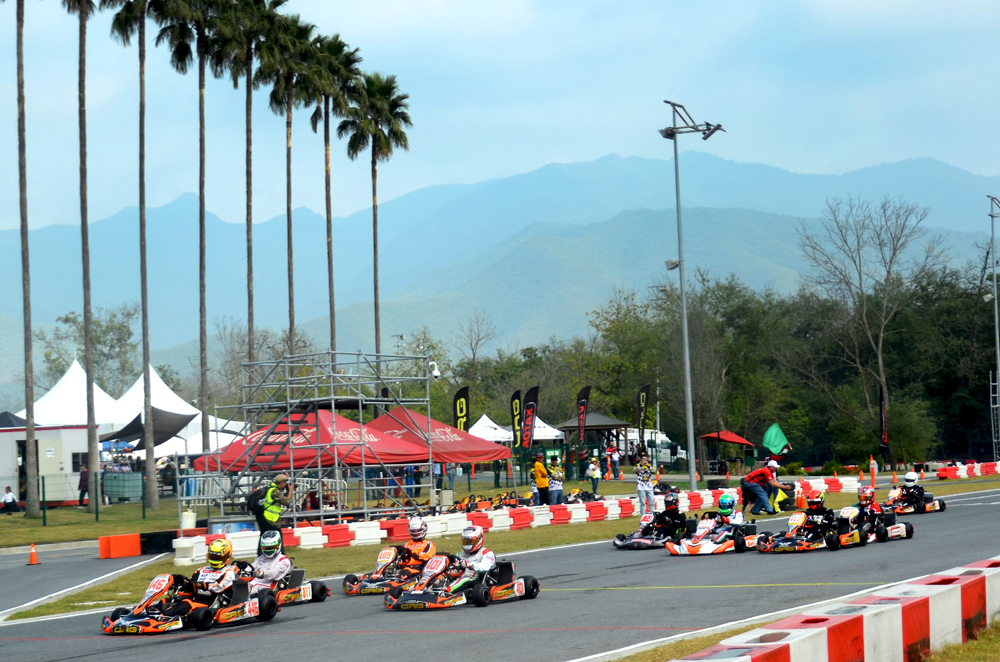 ROTAX_MAX_NORESTE.jpg